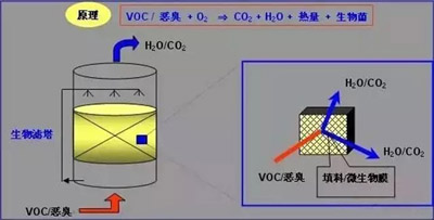 41.webp.jpg 41.webp.jpg